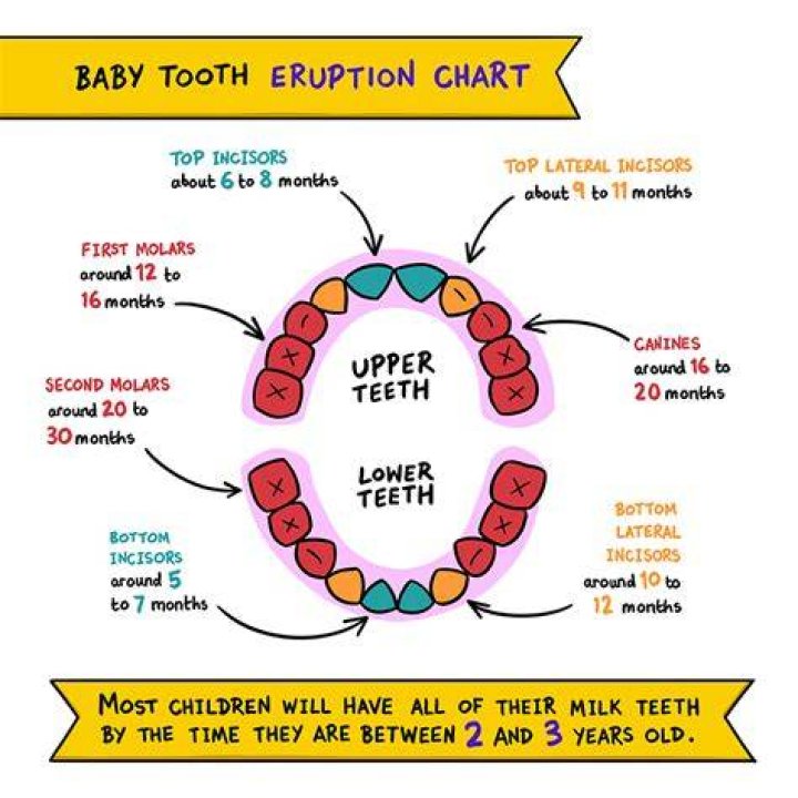 Which part of teething is most painful?