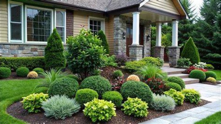 Which plant is good in front of house?