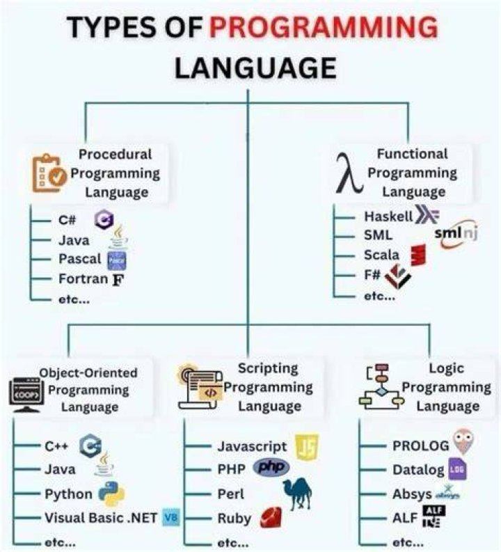 Which programming language should I learn 2022?