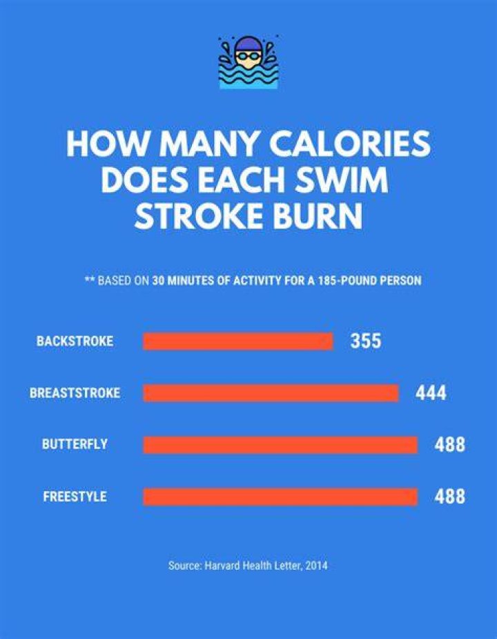 Which swimming stroke burns the most calories?