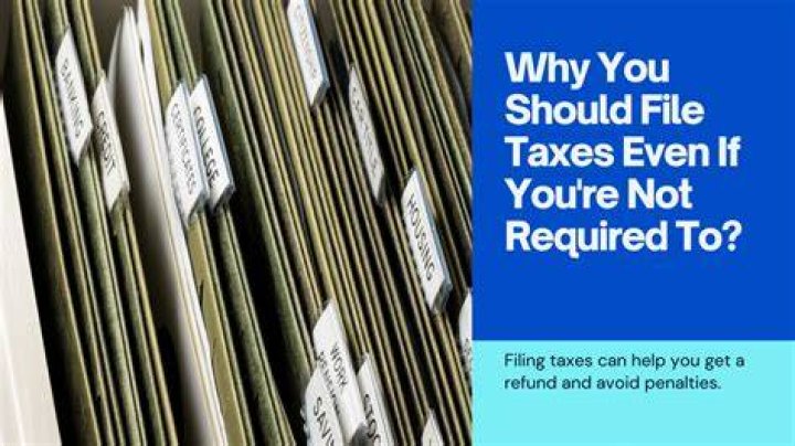Which taxpayer is not required to file taxes?