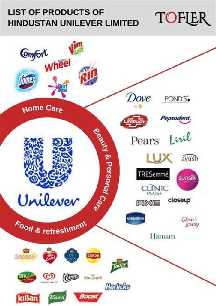 Which type of industry is Hindustan Unilever?