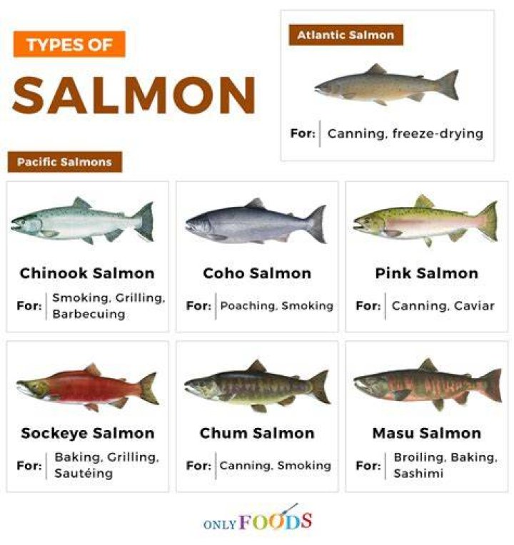 Which type of salmon tastes best?