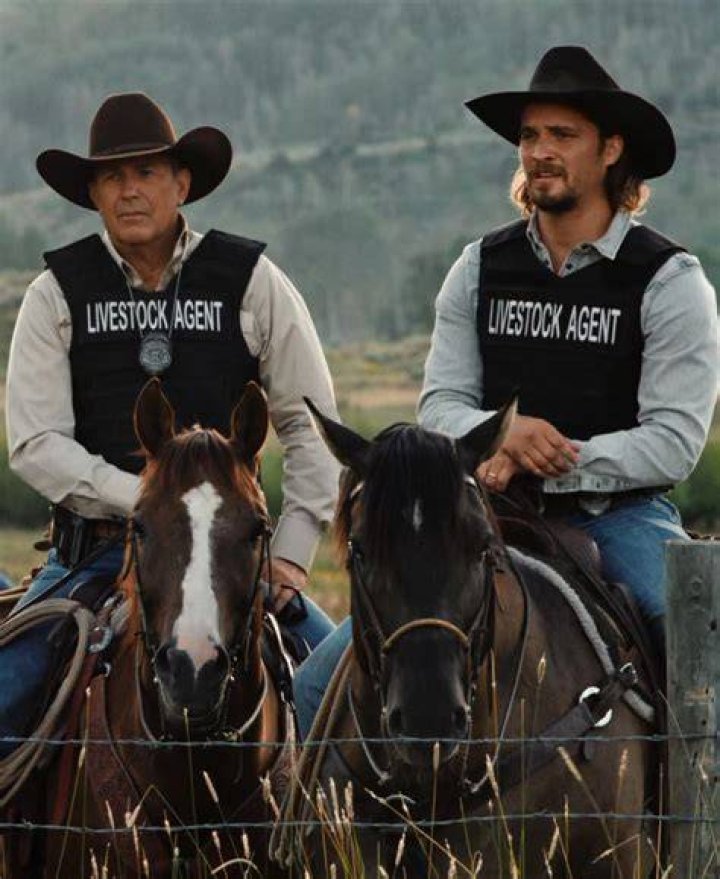 Who are the livestock agents on Yellowstone?