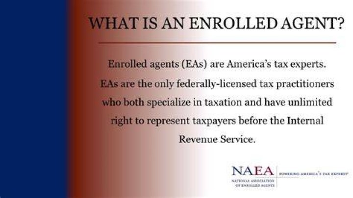 Who are the only federally licensed tax experts?
