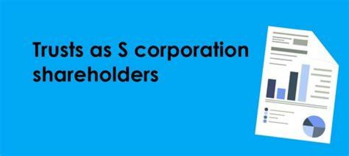 Who are the shareholders of a S corporation?