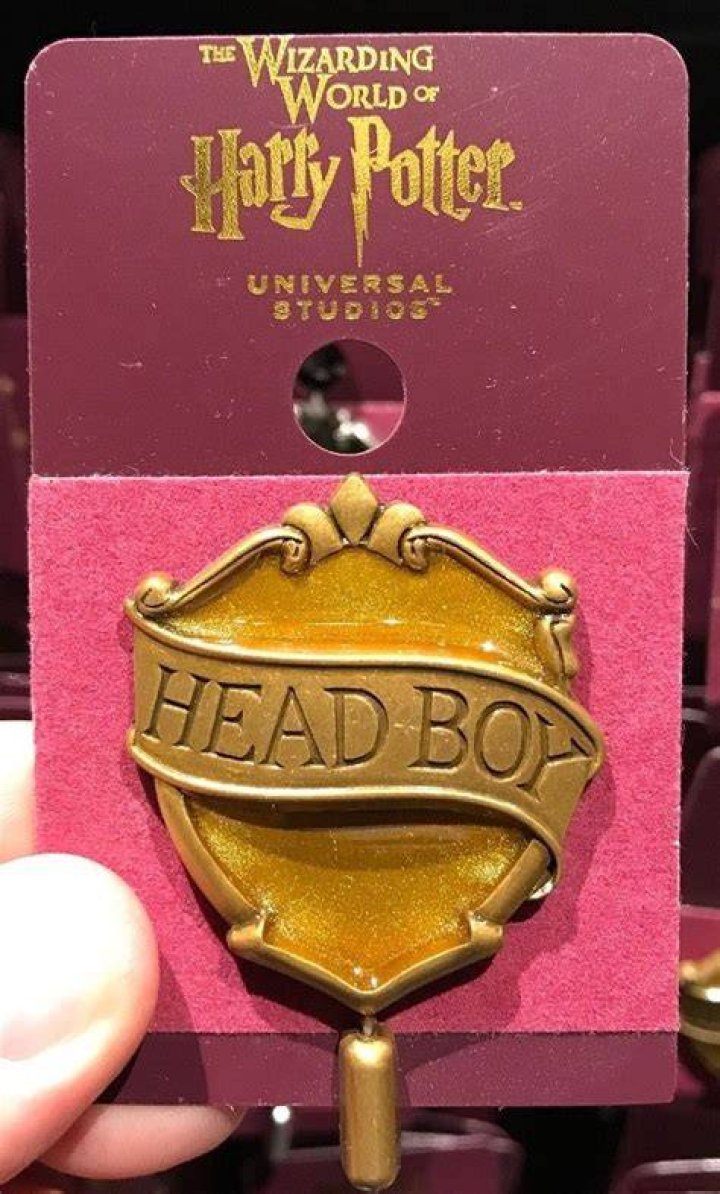 Who becomes head boy in Harry's year?