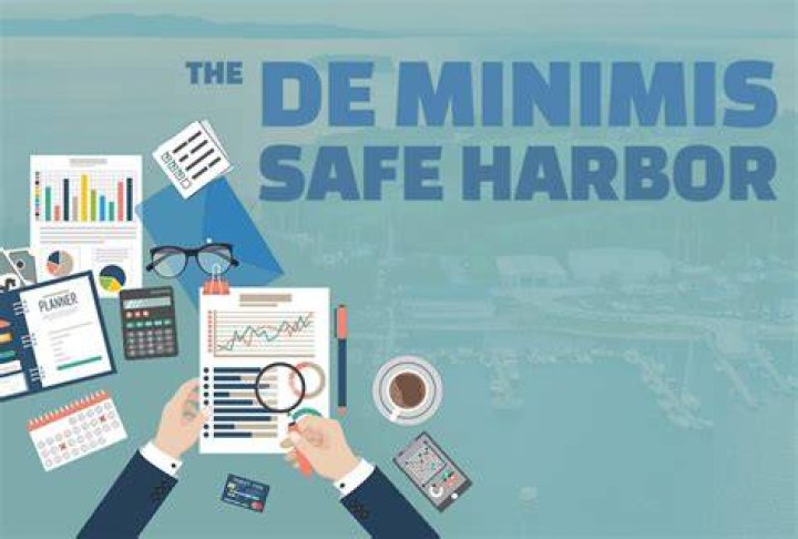 Who can make the de minimis safe harbor election?