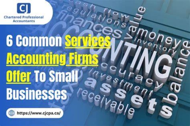 Who can provide accounting services?