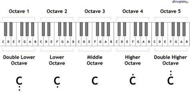 Who can reach 10 octaves?