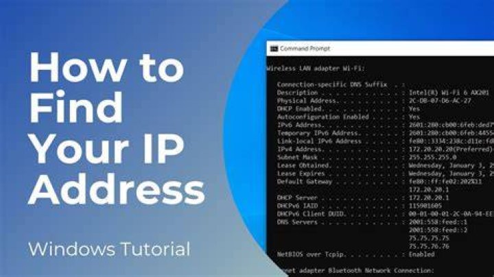 Who can see my IP address activity?