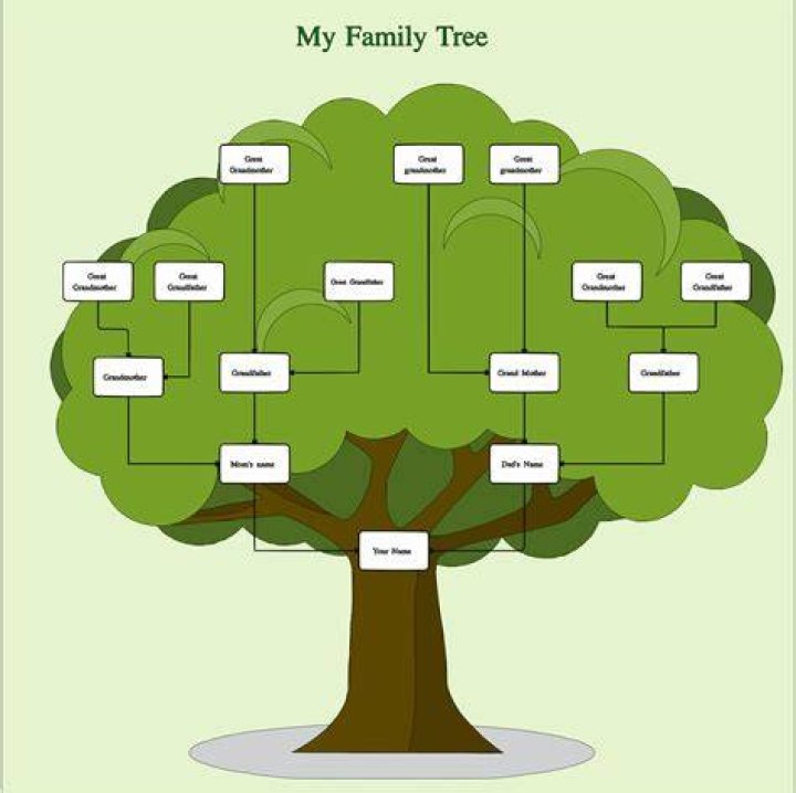 Who can trace my family tree?