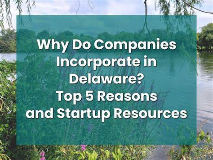 Who do businesses incorporate in Delaware?