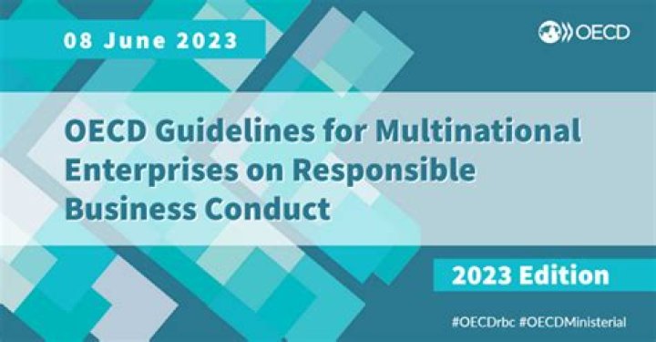 Who do the OECD Guidelines apply to?