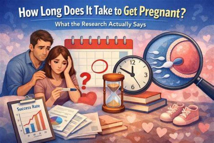 Who does Lip get pregnant?