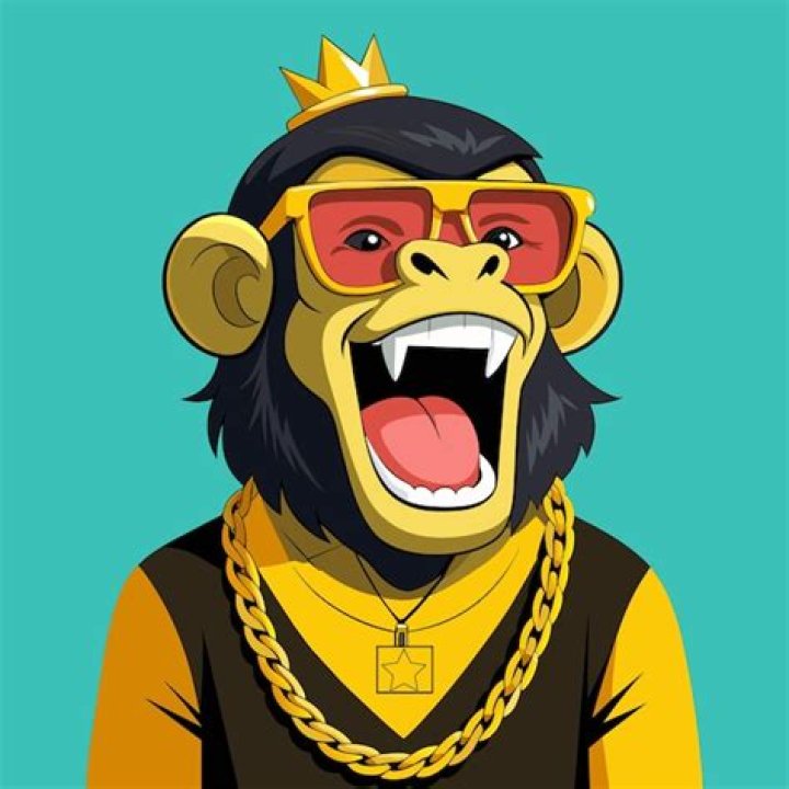 Who draws NFT monkey?