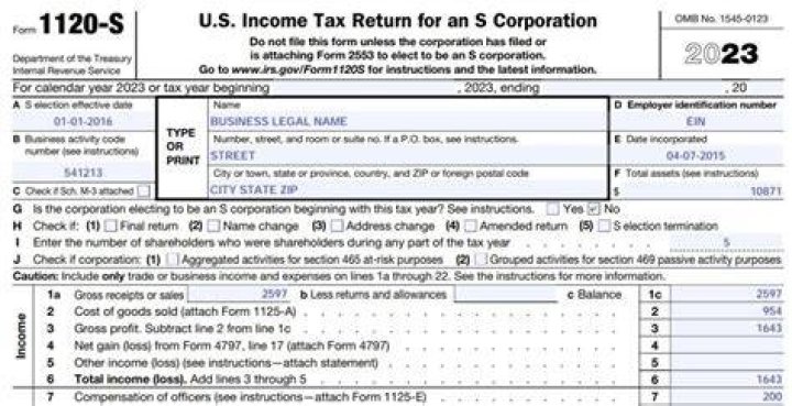 Who files an 1120S tax return?