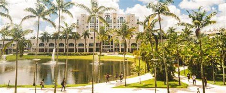Who founded the University of Florida?