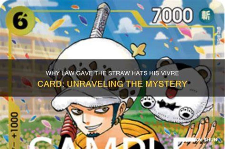 Who gave Jack the vivre card?