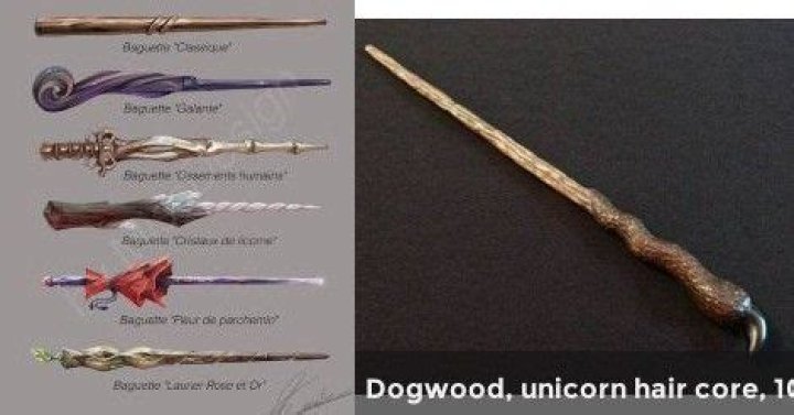 Who has a unicorn hair wand in Harry Potter?