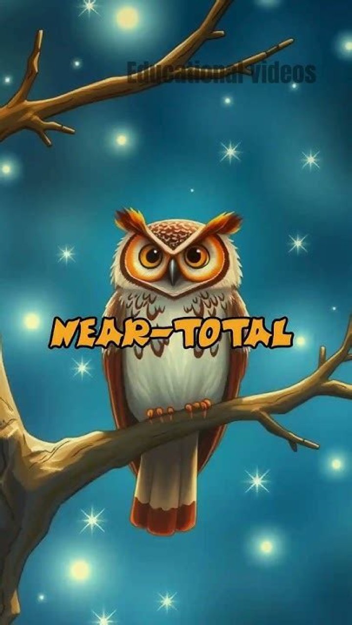 Who has better vision owl or eagle?
