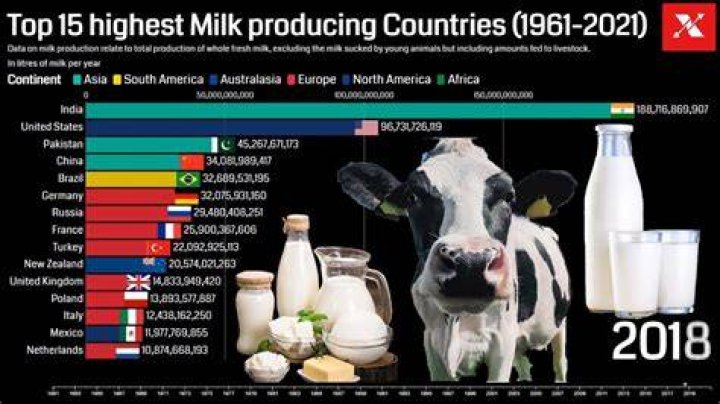 Who has the best milk in the world?