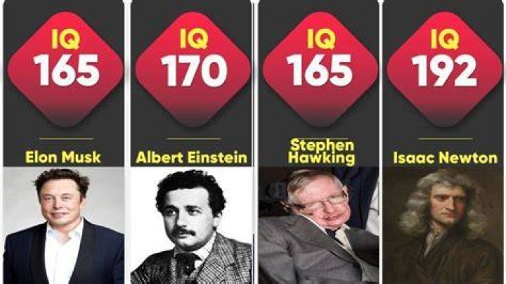 Who has the highest IQ in cartoons?
