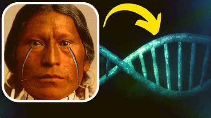 Who has the oldest DNA?