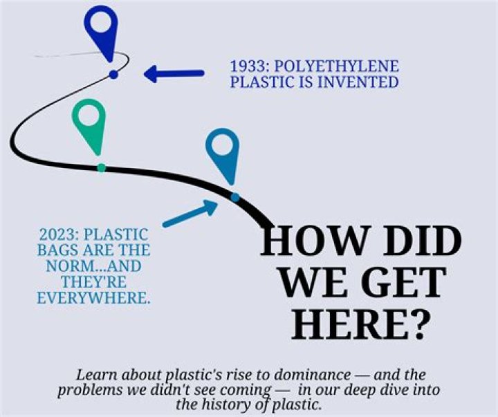 Who invented plastic bags and why?