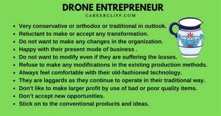 Who is called drone entrepreneur?
