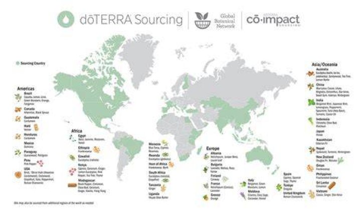 Who is doTERRA owned by?