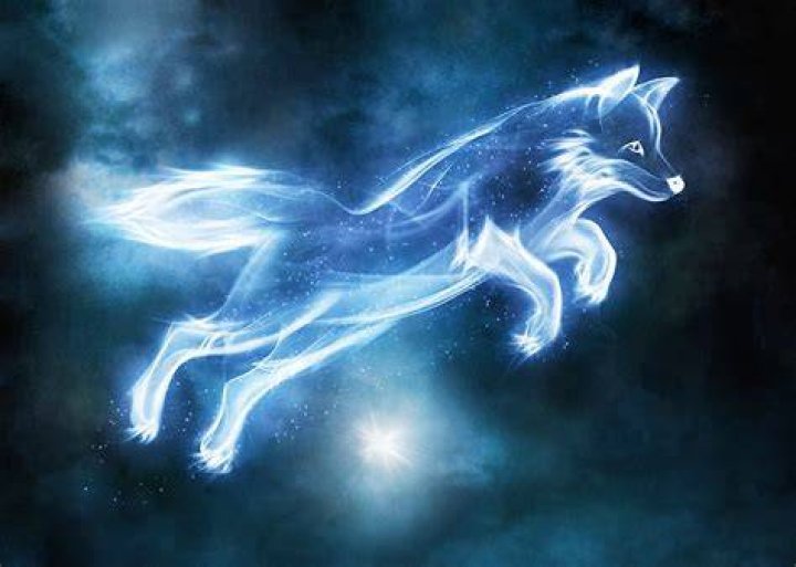 Who is Fox Patronus?
