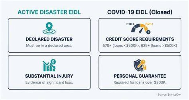 Who is not eligible for EIDL loan?