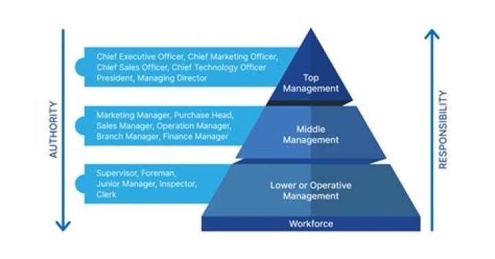 Who is responsible for management of organisation?