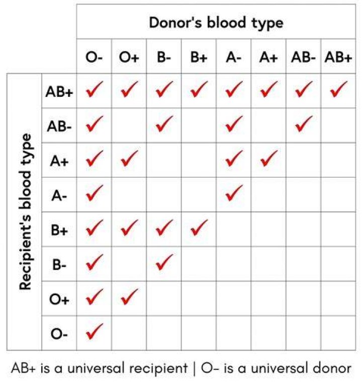 Who is the best blood group?