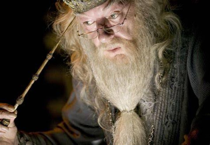 Who is the Elder Wand loyal to?