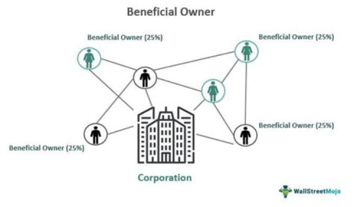 Who is the final beneficial owner?