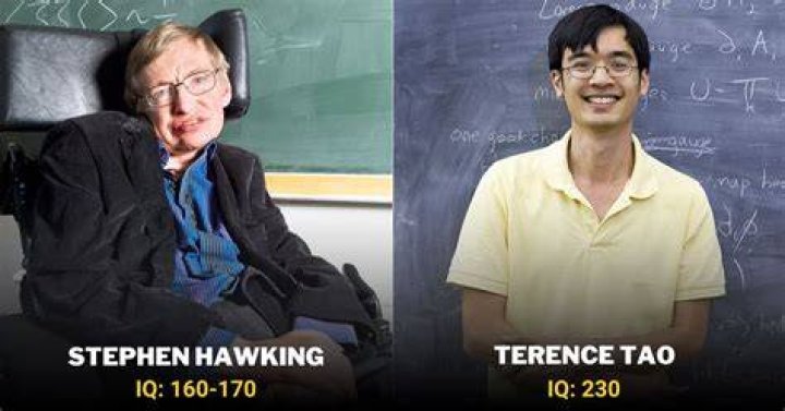 Who is the most intelligent person in Harry Potter?