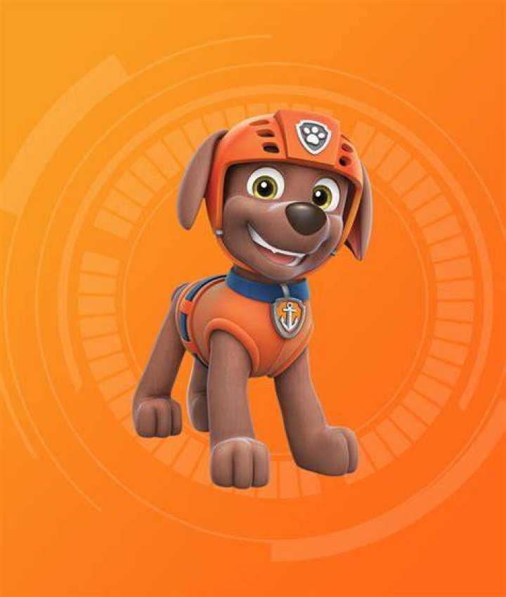 Who is the orange PAW Patrol?