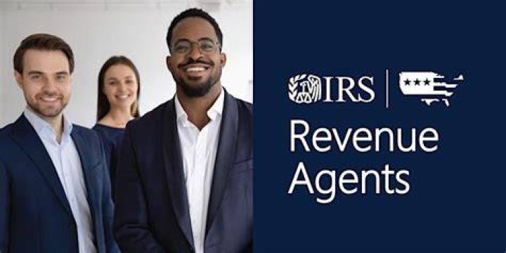 Who is the revenue agent for the IRS?