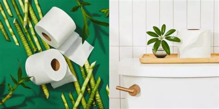 Who makes toilet paper in USA?