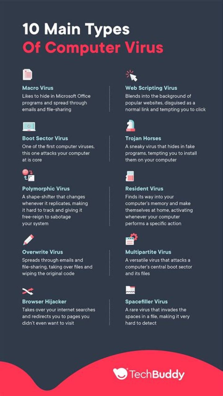 Who named computer virus?