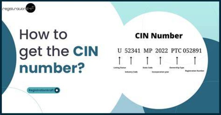 Who needs a CIN number?