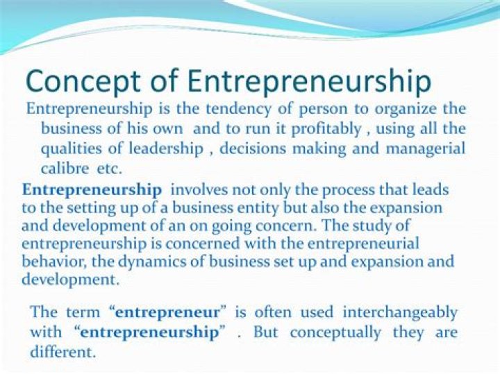 Who originated the concept of entrepreneurship?