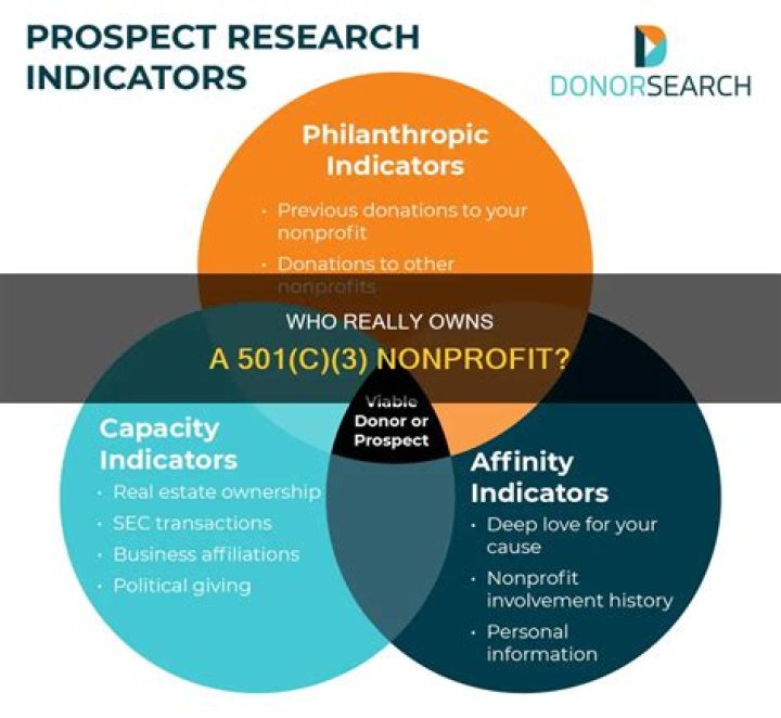 Who owns a 501c3 nonprofit created under US law?