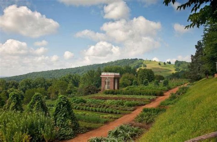 Who owns Monticello plantation?