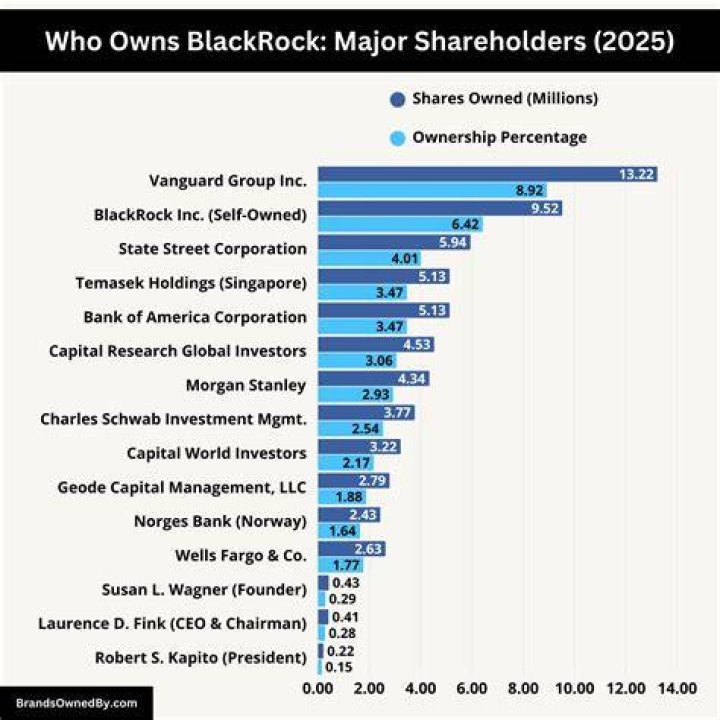 Who owns the most KO stock?
