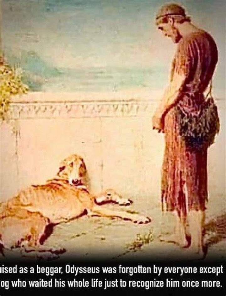 WHO recognizes Odysseus disguise?