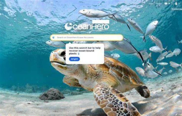 Who runs OceanHero?