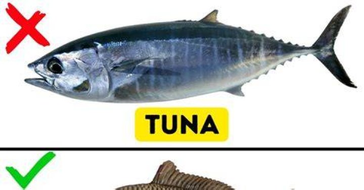 Who should not eat tuna?
